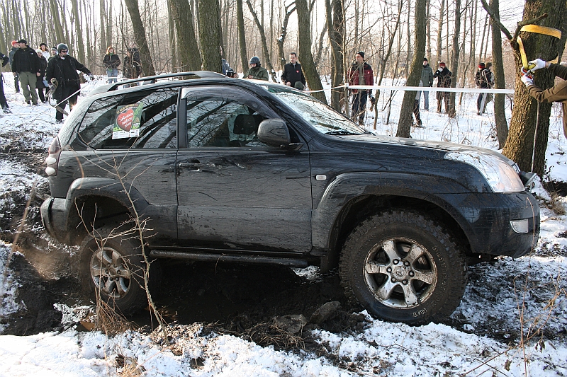 WOSP_Pasternik_2009 211